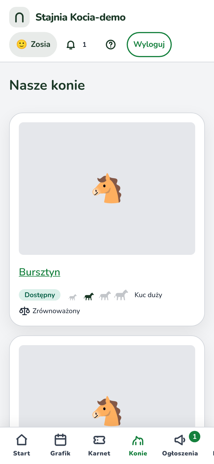 Zakładka „Konie”, nagłówek „Nasze konie”. Karta konia Bursztyn z obrazkiem głowy konia i napisami „Dostępny”, „C · do 140 cm” i „Zrównoważony”. Niżej zaczyna się karta kolejnego konia.